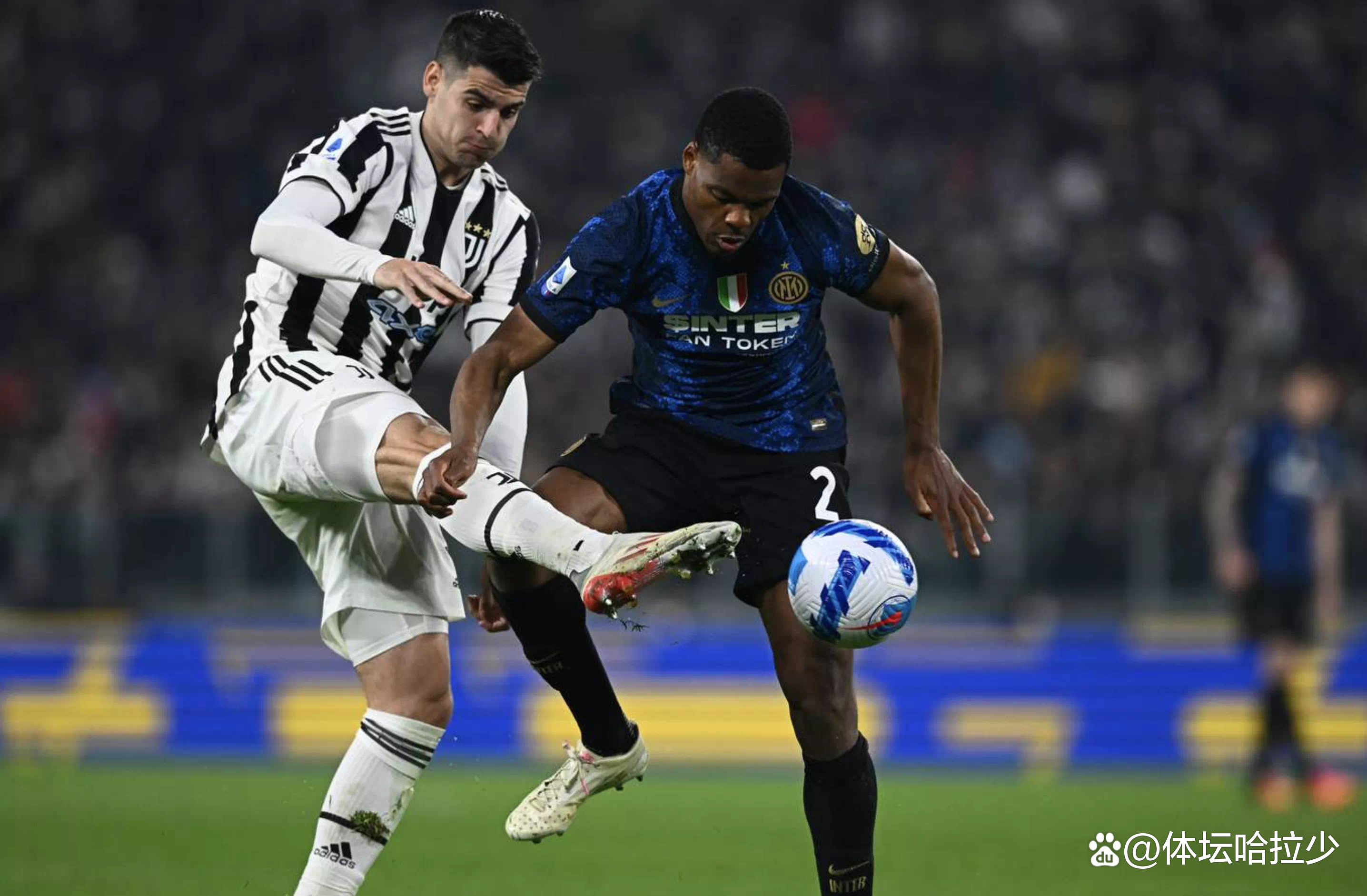 转折点夏洛特黄蜂单刀错失，英超赛前攻防权衡，信心回归，资深球员宣示担当(克洛格果实图片大全)-综合娱乐平台入口